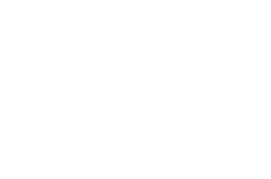 Das Logo der Ferienwohnungen "Zur Stella" in weißer Schrift auf grauem Grund.
